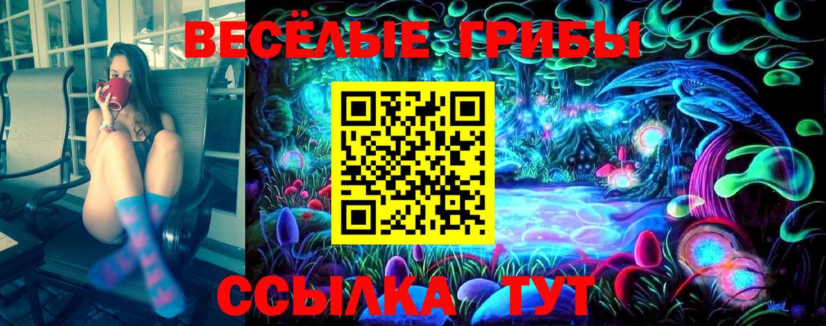 Псилоцибиновые грибы Psilocybe Новочеркасск